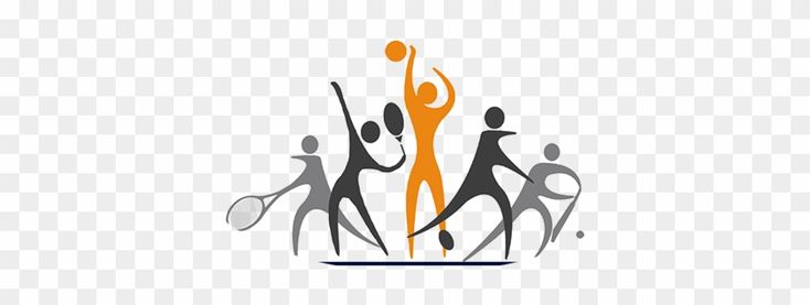 v体育app入口网页版